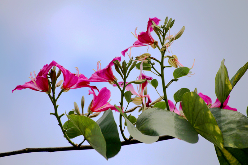 IMG_8906_副本.jpg