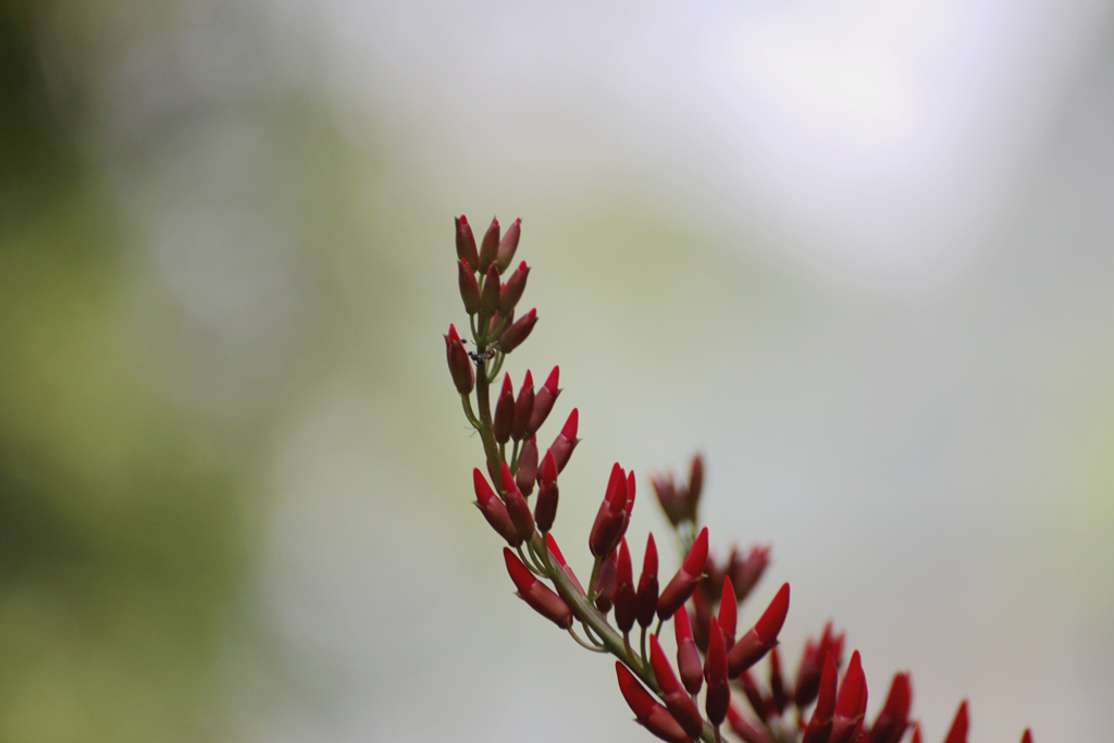 IMG_8993_副本.jpg