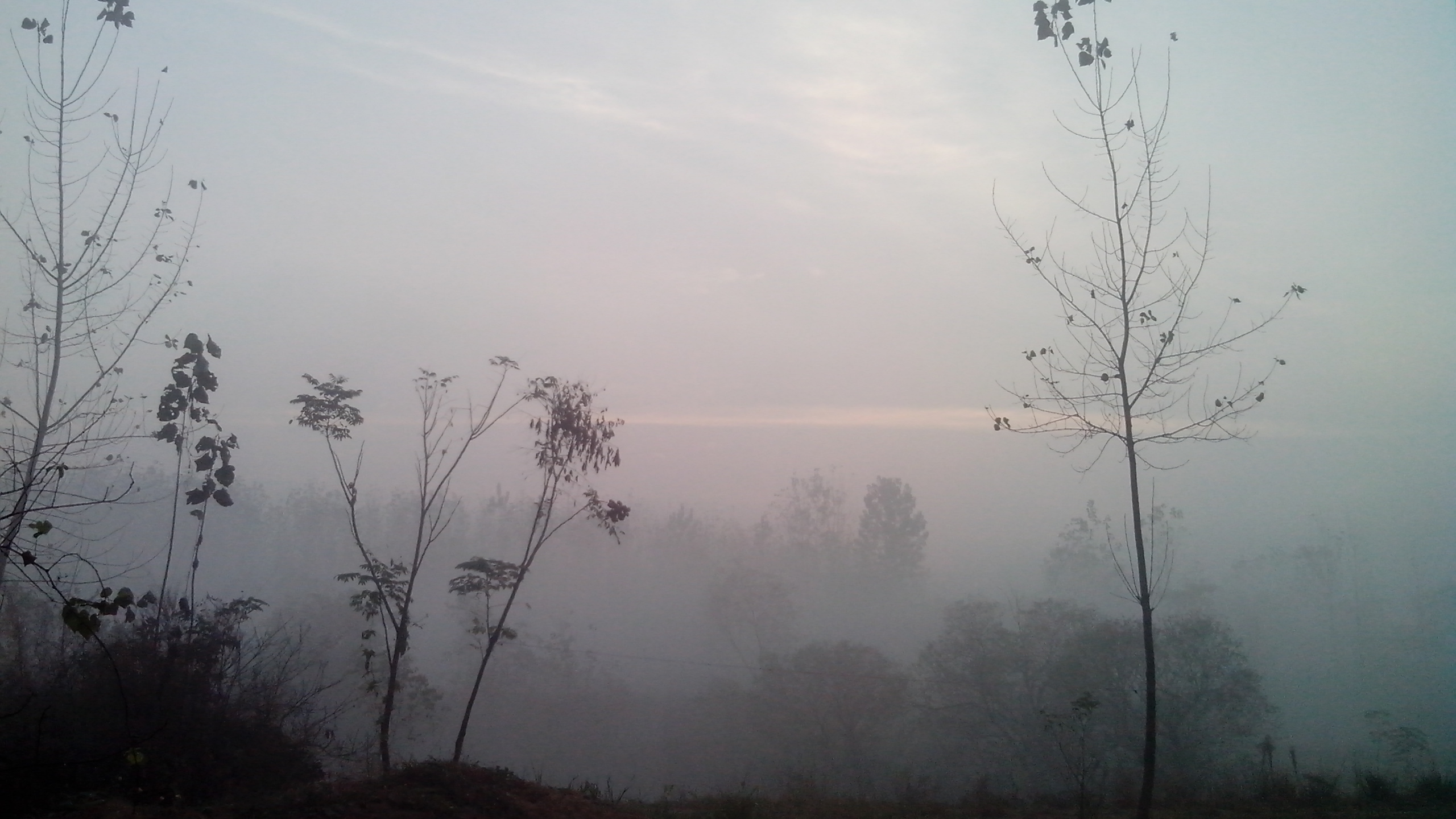 IMG_20141027_063908.jpg