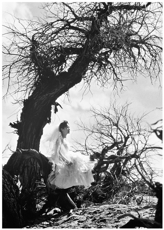 000014--.jpg