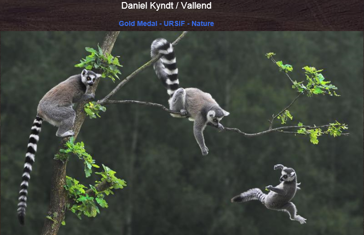 QQ截图20141107102023.png