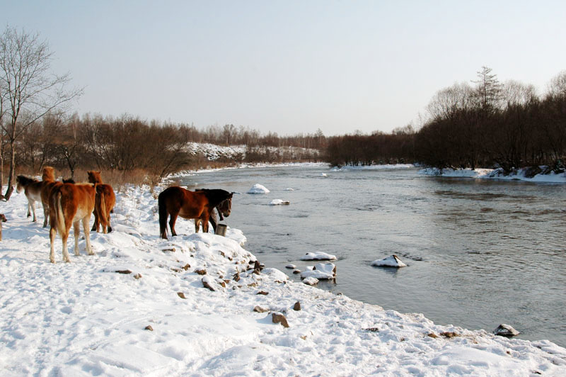 DSC_0421.jpg