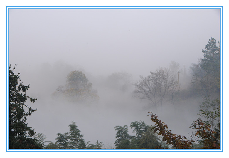 DSC_6176_副本.jpg