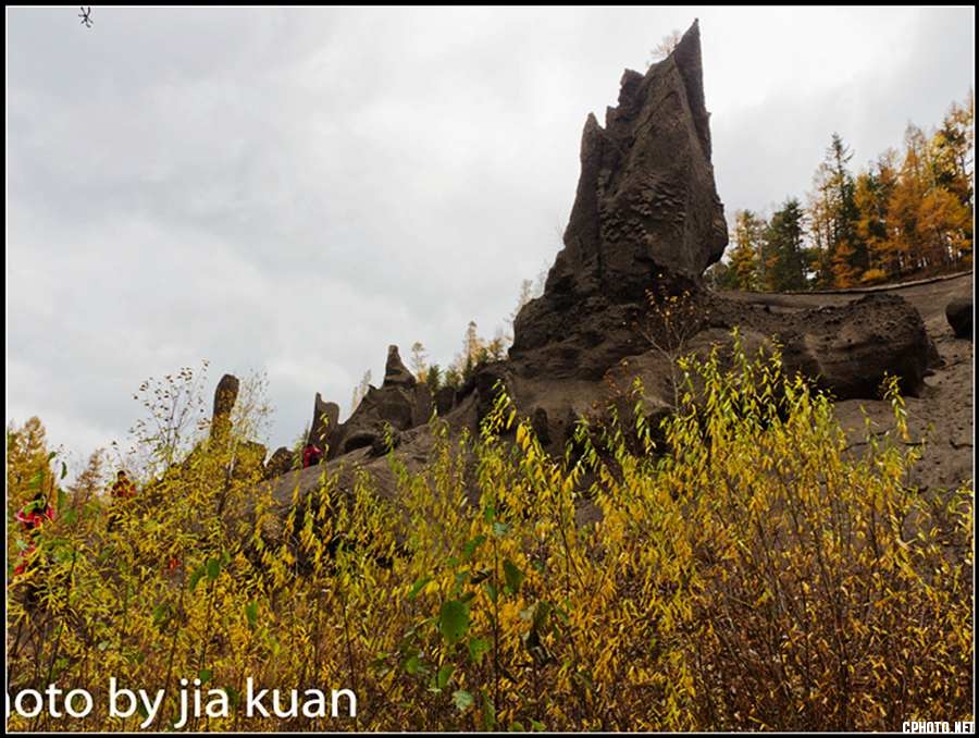 _MG_1623.jpg