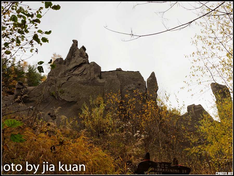 _MG_1627.jpg
