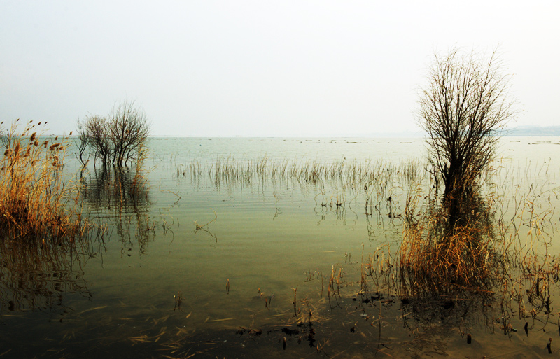 DSC_3722.jpg