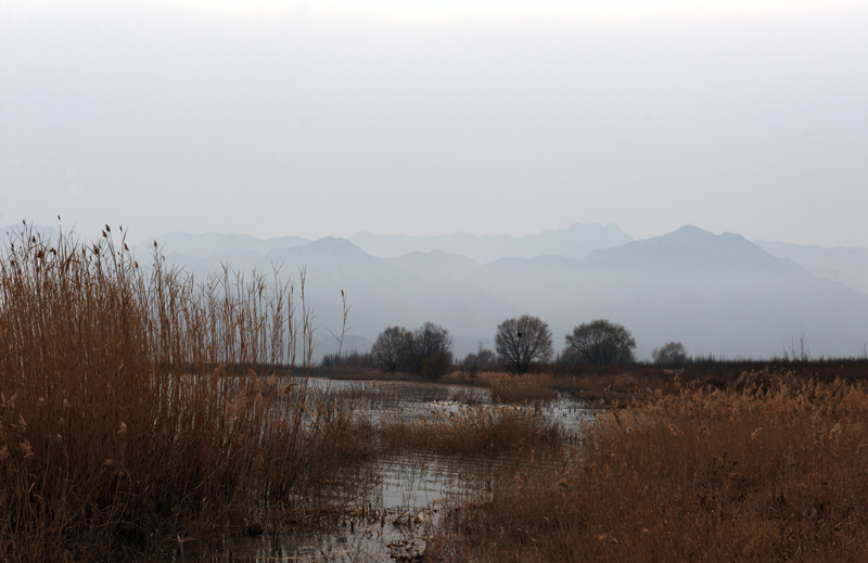 DSC_3742.jpg