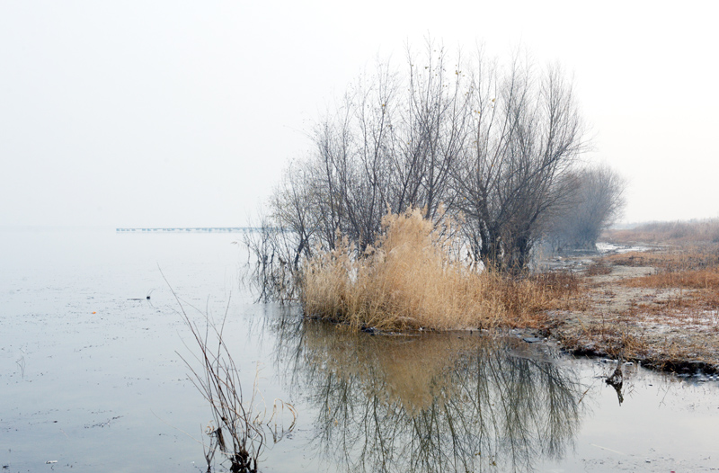 DSC_3911.jpg