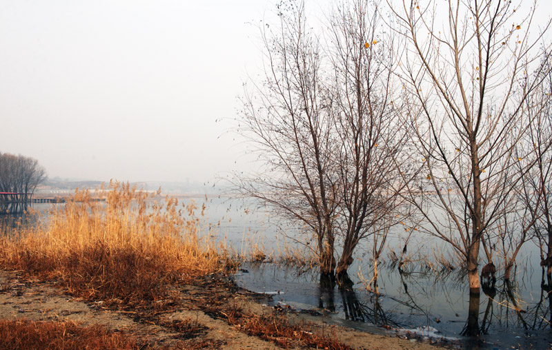 DSC_3914.jpg