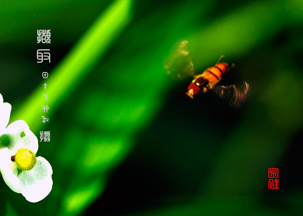 照片-112_副本.jpg