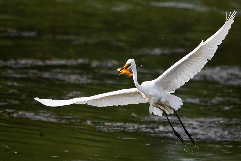 DSC_2654.jpg