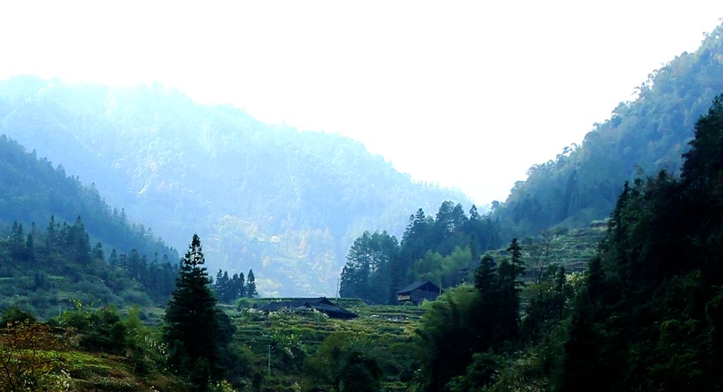 隐居山林