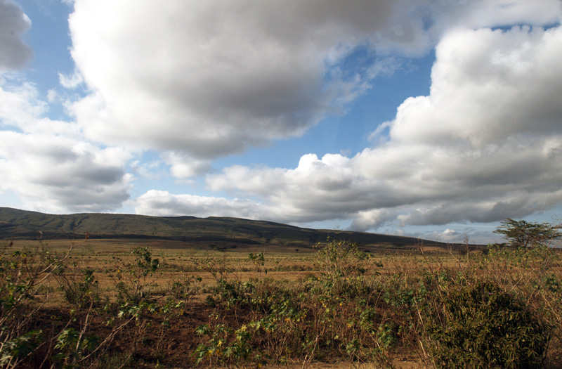 DSC_1606.jpg