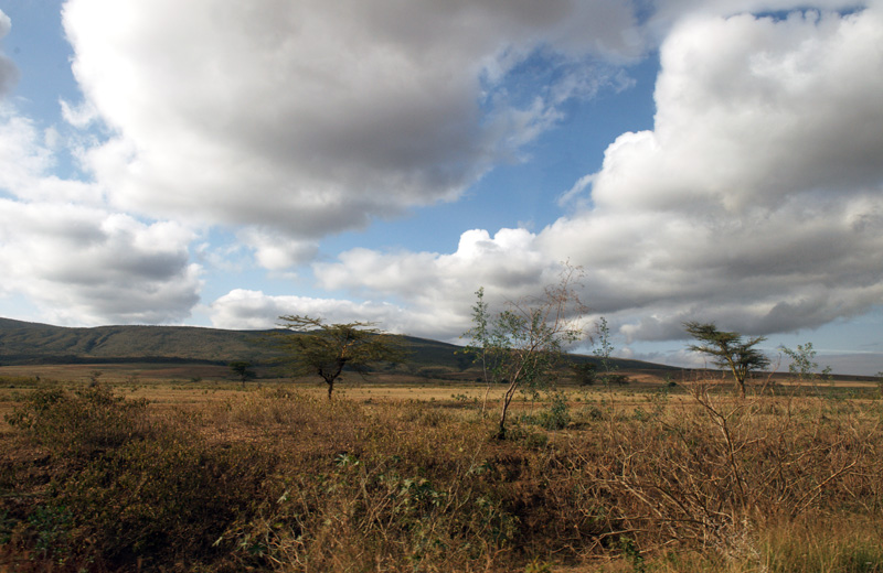 DSC_1607.jpg