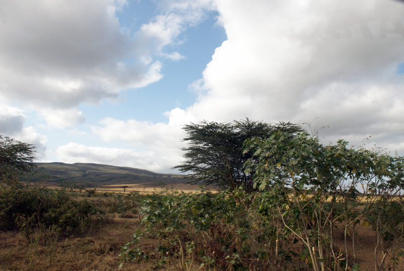 DSC_1611.jpg