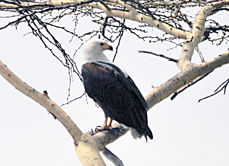 DSC_1064.jpg
