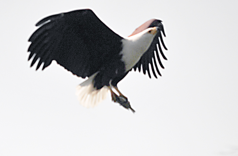 DSC_1104.jpg