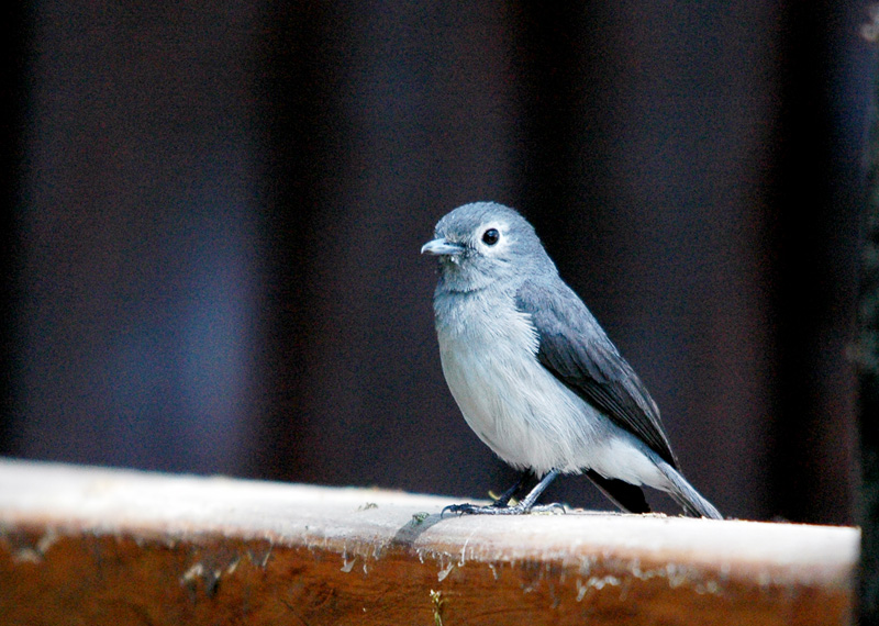 DSC_6194.jpg