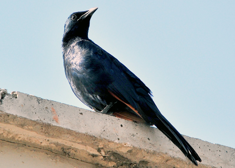 DSC_1891.jpg