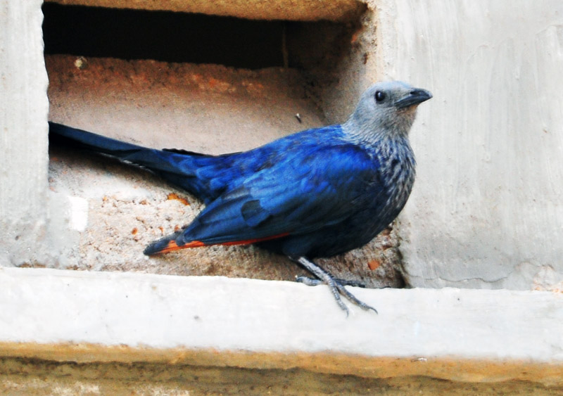 DSC_2821.jpg