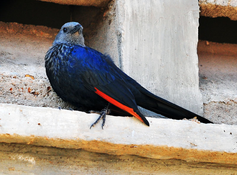 DSC_2908.jpg