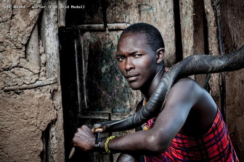 第二屆希臘奧林匹克四地巡回展（2014）