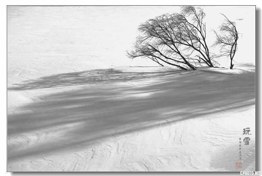 DSC02772ZZZ_副本.jpg