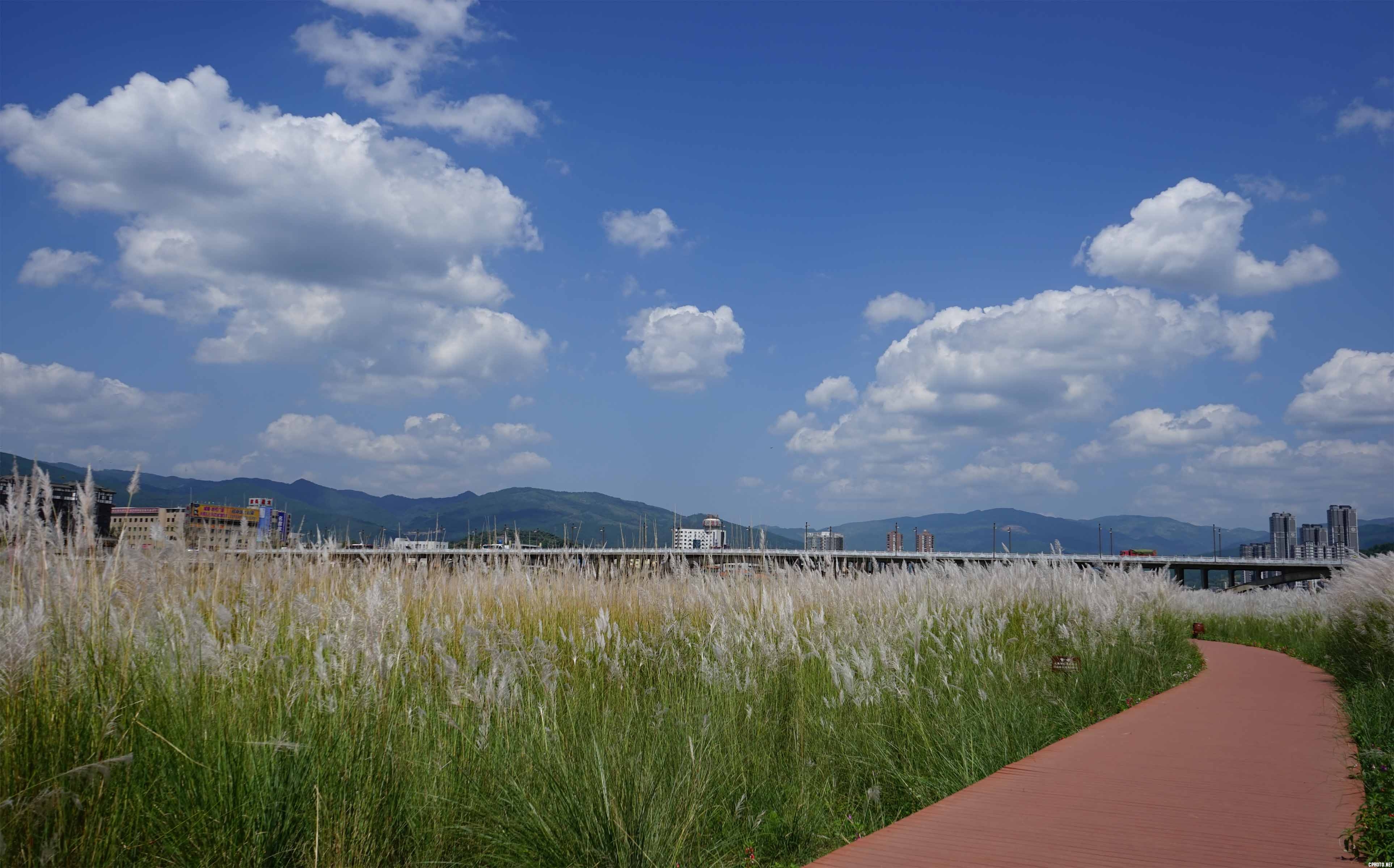 DSC019381.jpg