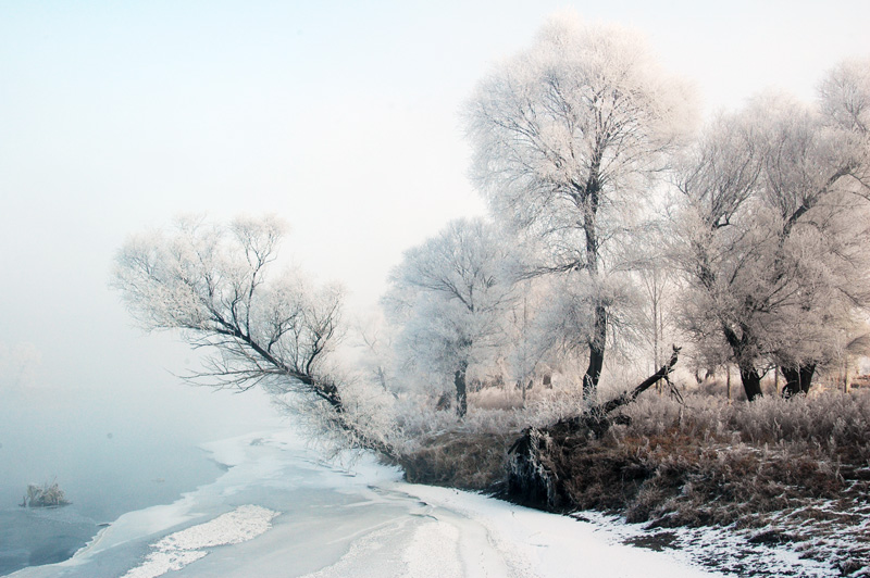 DSC_2010.jpg