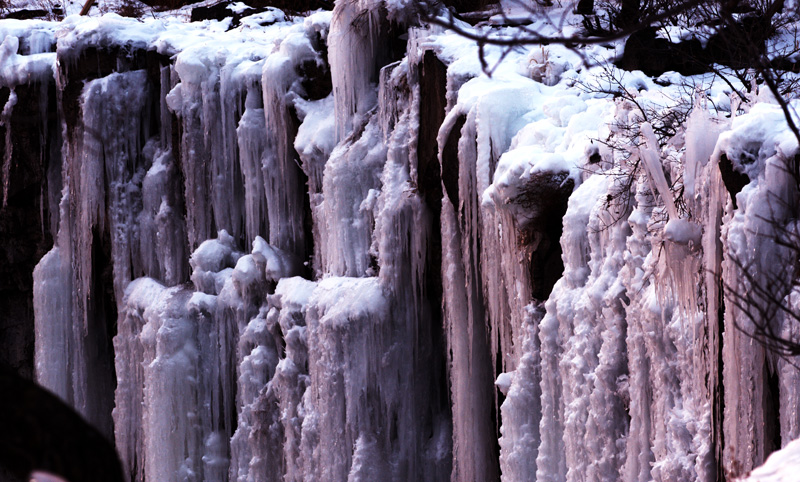 DSC_0934.jpg