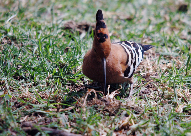 DSC_6448.jpg