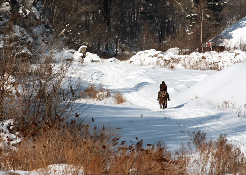 DSC_0274.jpg