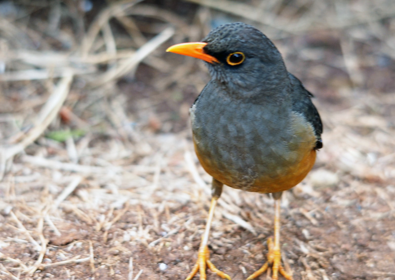DSC_8390.jpg