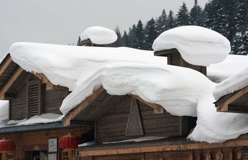 DSC_0889.jpg