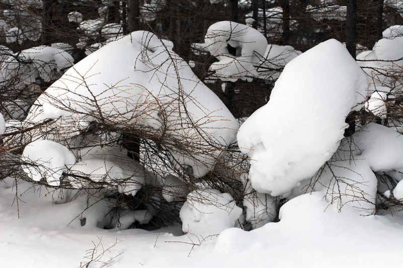 DSC_0707.jpg