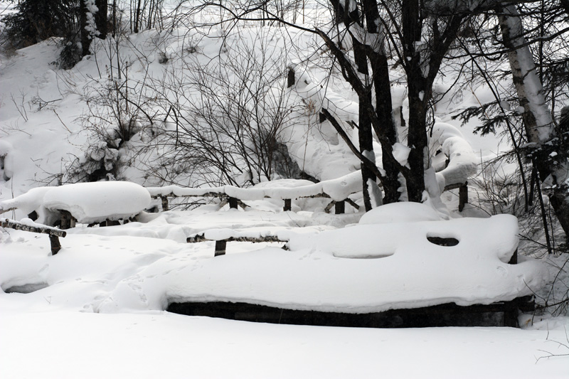 DSC_0717.jpg