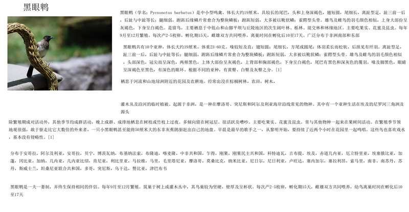 黑眼鹎.jpg
