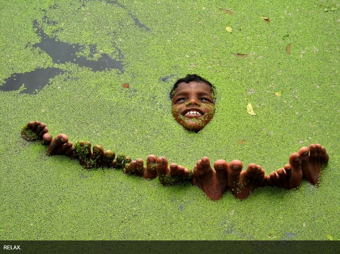FIAP (250 USD and FIAP Bronze Medal) NIMAI CHANDRA GHOSH  India .png