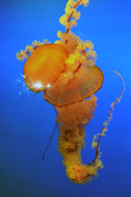 DSC_2257.jpg