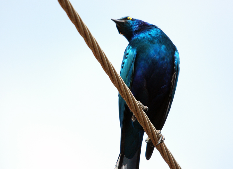 DSC_5707.jpg
