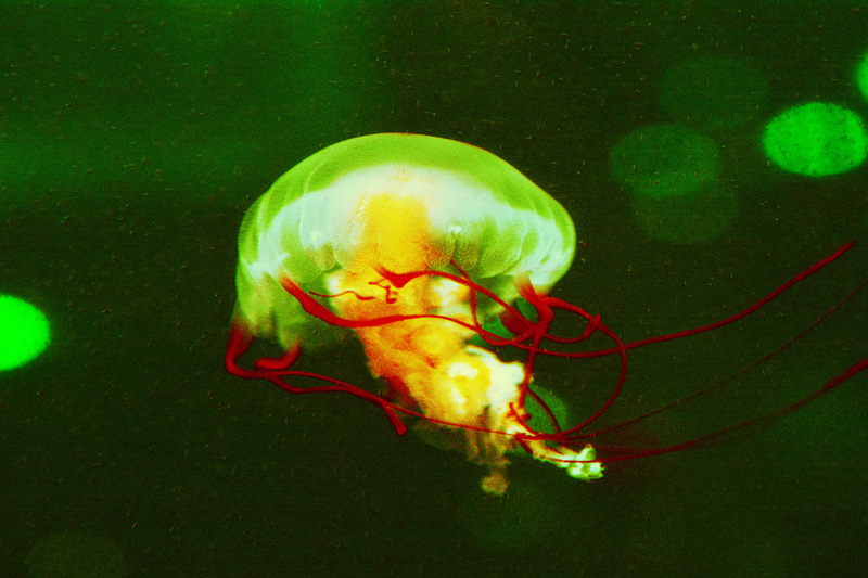 DSC_2290.jpg
