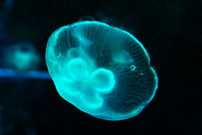 DSC_2317.jpg
