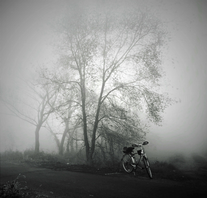 2013109102325_370.jpg