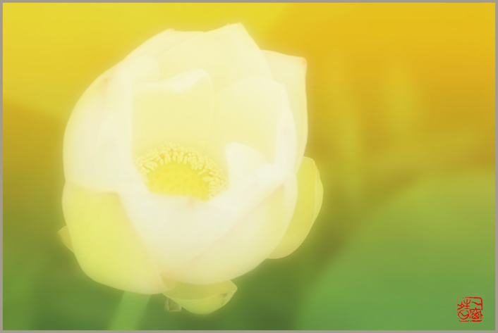 2012723181715_116.jpg