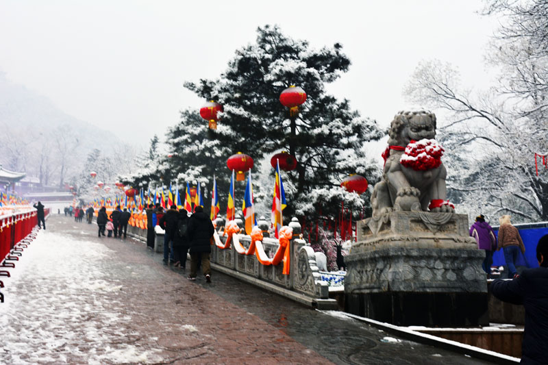 DSC_3052.jpg
