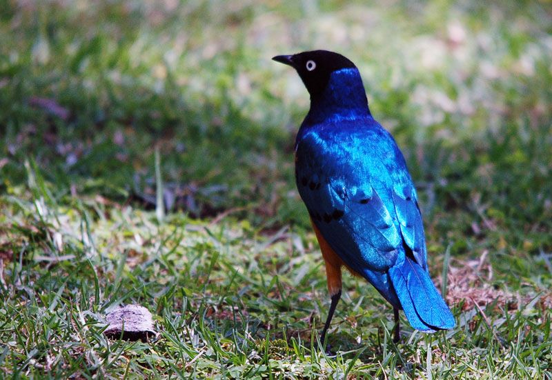 DSC_6412.jpg