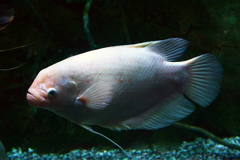 DSC_2878.jpg
