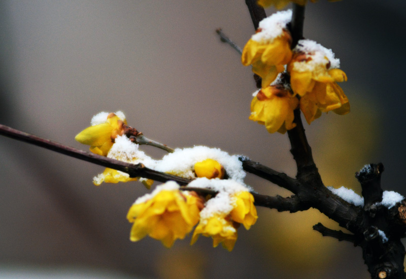 DSC_3710.jpg