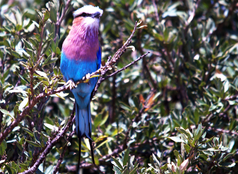 DSC_3059.jpg