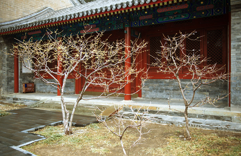 DSC_7801.jpg